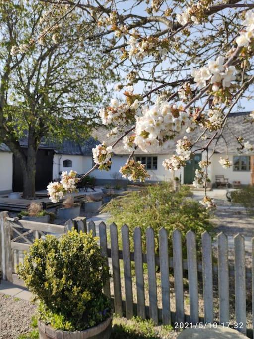 Casa vacanze Oeja Ystad