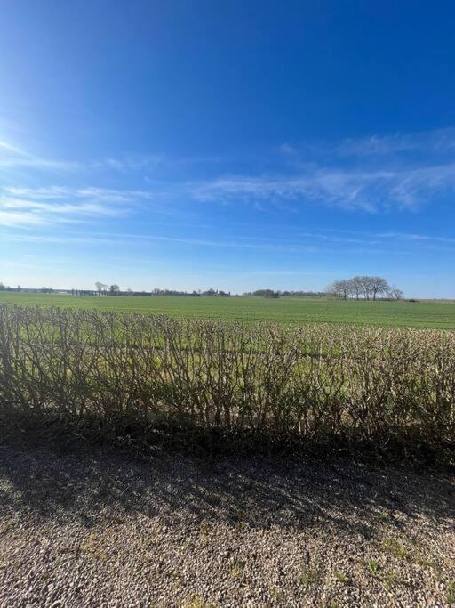 Oeja * Ystad